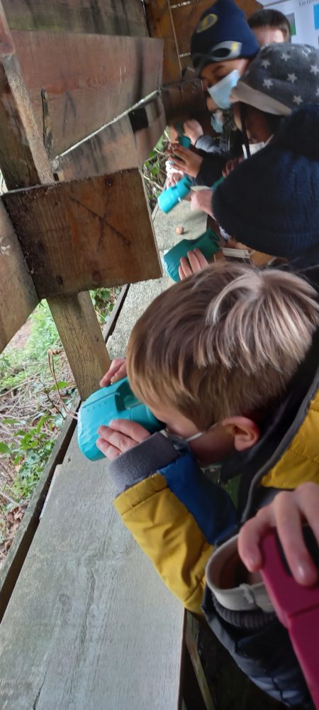 Nourrir les oiseaux en hiver