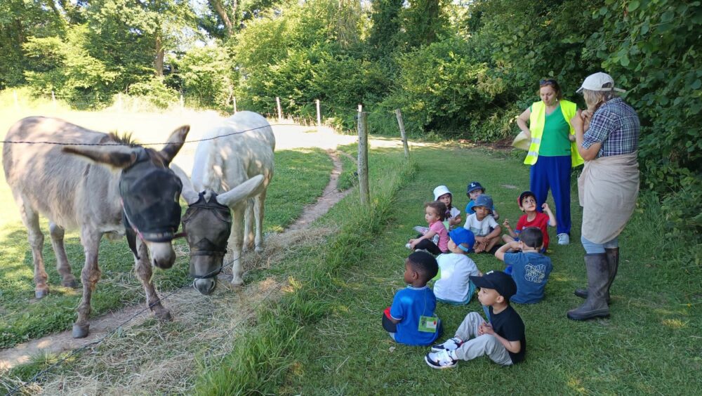 A la ferme des ânes